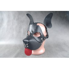 Transformer Dog Mask