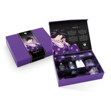 Подарочный набор Naughter Kit, 5 предметов SHUNGA, длина 0.00см, диаметр 0.00см
